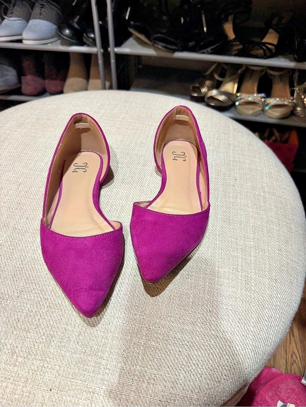 Pointed Toe Flats in Pink